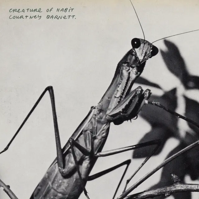 Aptly named, Courtney Barnett's new album doesn't fail to deliver